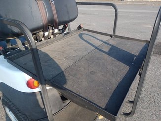 Carrinho de golfe Liberty A1S2